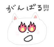 850685725