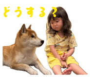850686708