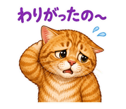 850687013
