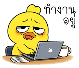 เ ข้ เ กี ย จ  =__='' 19