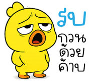 850702028