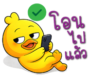 850702029