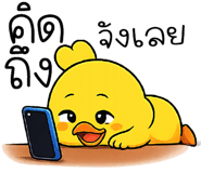 850702039