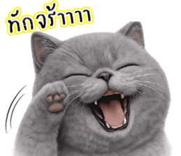 ร๊าาาาก >_< 2