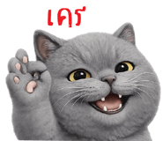 850702216