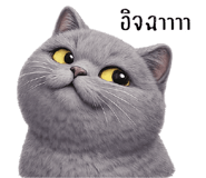 850702233