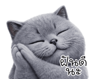 850702240