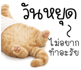 ก้ อ ส ม ค ว ร !!! 4