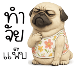 ก้ อ ส ม ค ว ร !!! 8