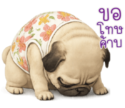 ก้ อ ส ม ค ว ร !!! 11