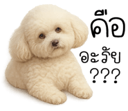 850702295
