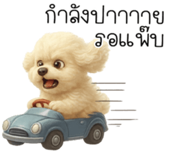 ก้ อ ส ม ค ว ร !!! 17