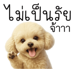 ก้ อ ส ม ค ว ร !!! 22