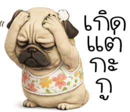 ก้ อ ส ม ค ว ร !!! 39
