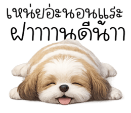 ก้ อ ส ม ค ว ร !!! 40