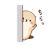 850703024