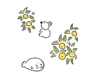 850707838