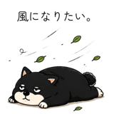 850716930