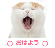 850717865