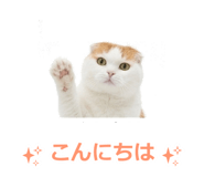 850717866