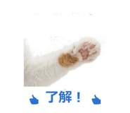 850717871