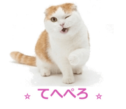 850717875