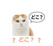 850717876