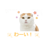 850717878
