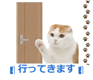850717882