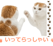 850717883