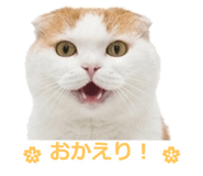 850717885