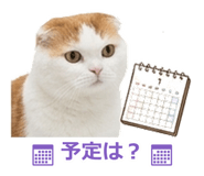 850717888