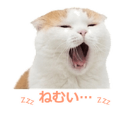 850717892