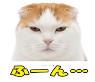 850717897