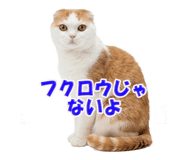 850717899