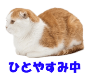 850717900