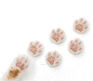 850717904