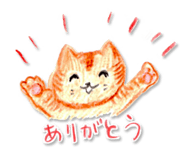 8507207