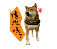 850727118