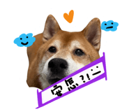 850727122