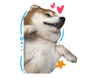 850727128