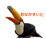 850728945