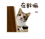 850746145