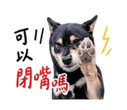 850751409