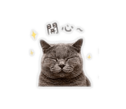 850753179