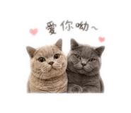 850753190