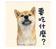 850753343