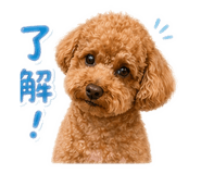 850757378