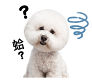 850762182