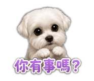 850763305